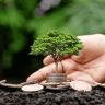 Financial Alchemy: Transforming Income into Enduring Wealth