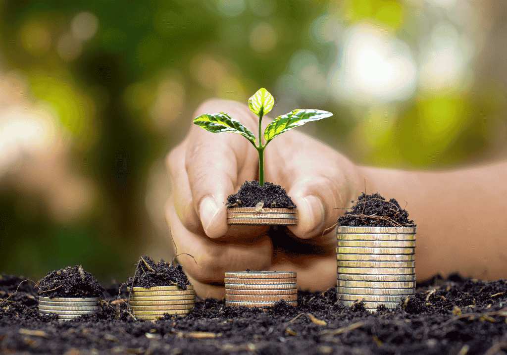 Ascending the Wealth Pyramid: The Elite Principles of Modern Financial Ascendancy
